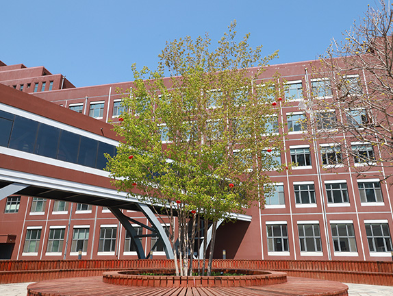 学校环境